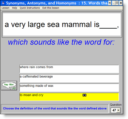 synonyms antonyms homonyms  quiz