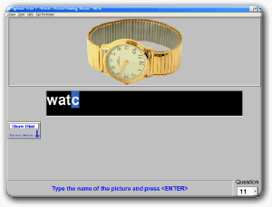 CLICK here to VIEW more PICTURES of Aphasia Therapy Software