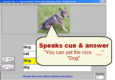 Picture of software for aphasia nominal, brocas & amnesic aphasia